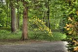 tannenfeld-sommer 2012-053